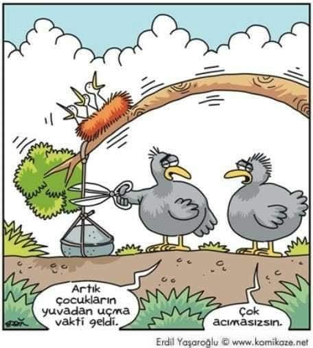 Hafta sonu eğlencesi karikatürler...