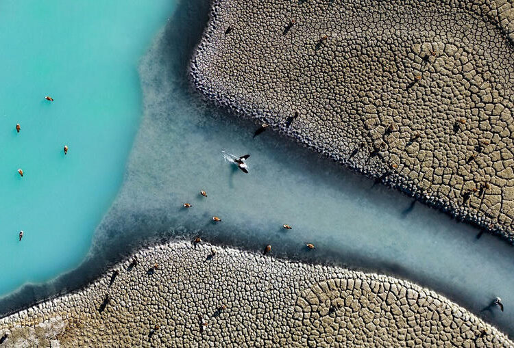 Niğdeli öğretmen, Burdur Gölü fotoğrafı ile dünya birincisi 1 Niğdeli öğretmen, Burdur Gölü fotoğrafı ile dünya birincisi