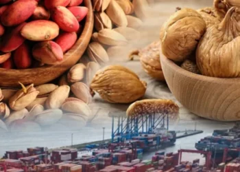 Avrupa’ya ihraç edilen gıda ürünleri, sağlığa zararlı maddeler içermesi sebebiyle geri gönderiliyor