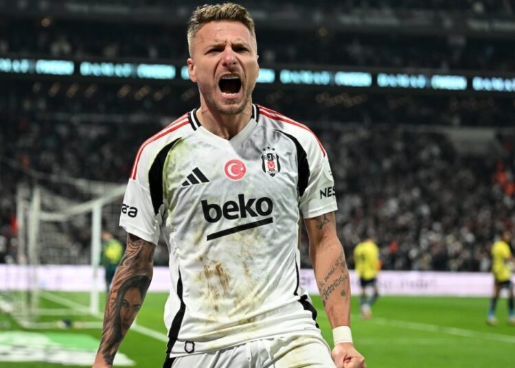 Kara kartal, Kanaryayı bir golle avladı 1 Kara kartal, Kanaryayı bir golle avladı