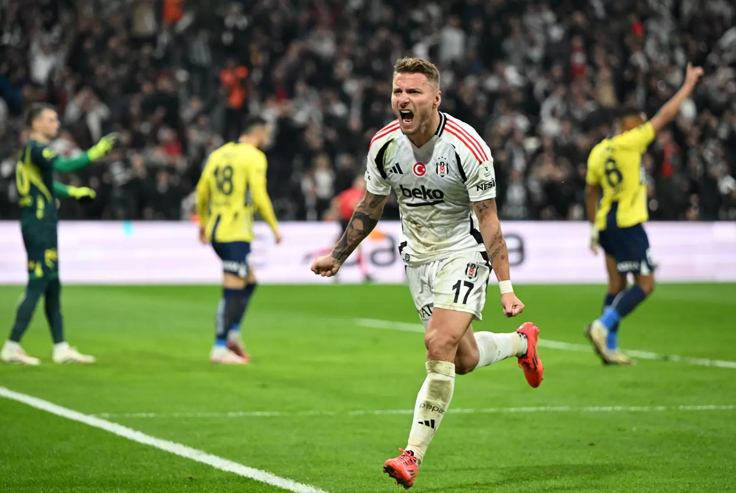 Kara kartal, Kanaryayı bir golle avladı 5 Kara kartal, Kanaryayı bir golle avladı