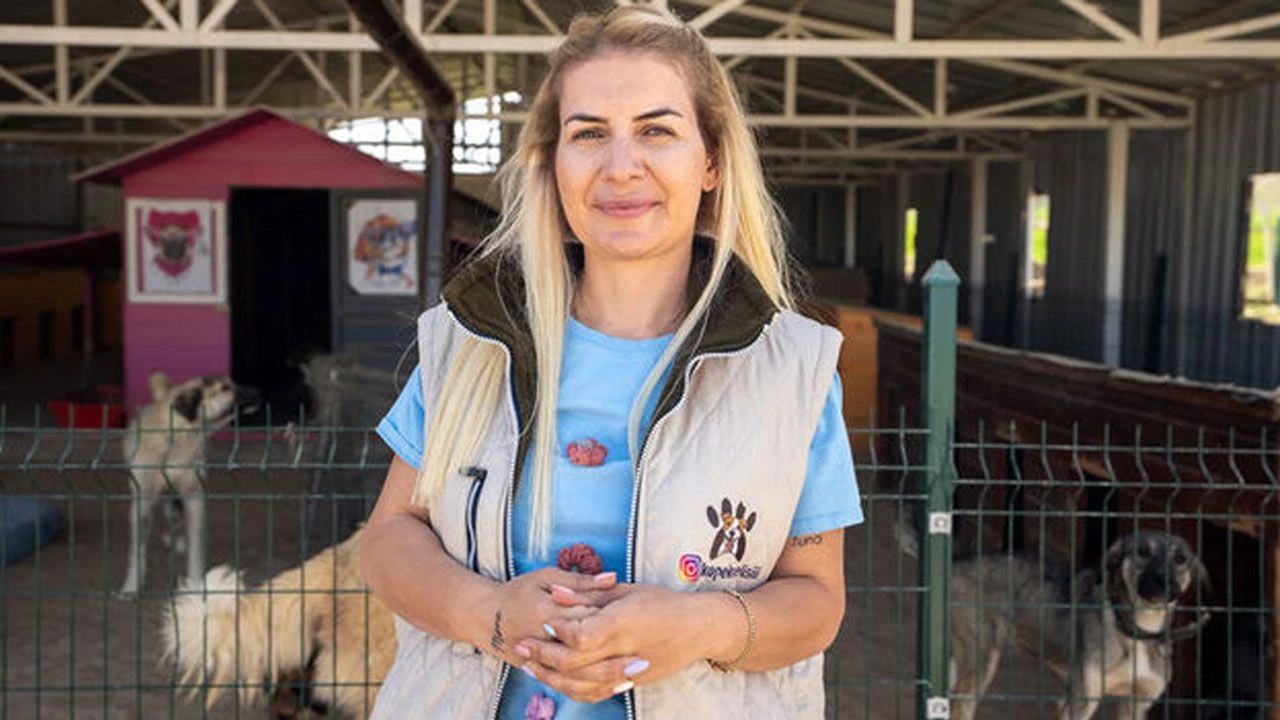 MASAK tespit etti: Köpekler için yapılan bağış paraları ile 65 araç almış 2 MASAK tespit etti: Köpekler için yapılan bağış paraları ile 65 araç almış