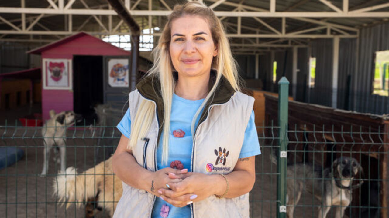 Sokak hayvanları derneği operasyonunda 8 şüpheli adliyeye sevk edildi 2 Sokak hayvanları derneği operasyonunda 8 şüpheli adliyeye sevk edildi