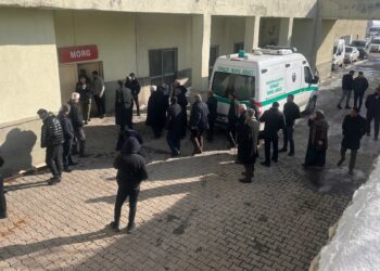 Sahipsiz köpeklerin saldırısına uğrayan çocuk hayatını kaybetti