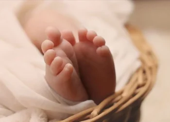 10 soruda ‘Aile Yılı destekleri’ neler?