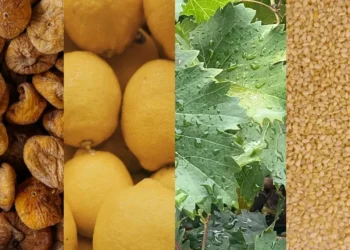 Gümrükten dönüyor, marketlerde satılıyor: Kuru incirde aflatoksin, limonda pestisit, susamda salmonella…