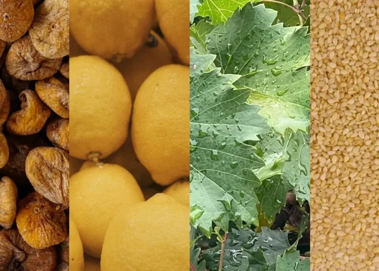 Gümrükten dönüyor, marketlerde satılıyor: Kuru incirde aflatoksin, limonda pestisit, susamda salmonella... 1 Gümrükten dönüyor, marketlerde satılıyor: Kuru incirde aflatoksin, limonda pestisit, susamda salmonella…