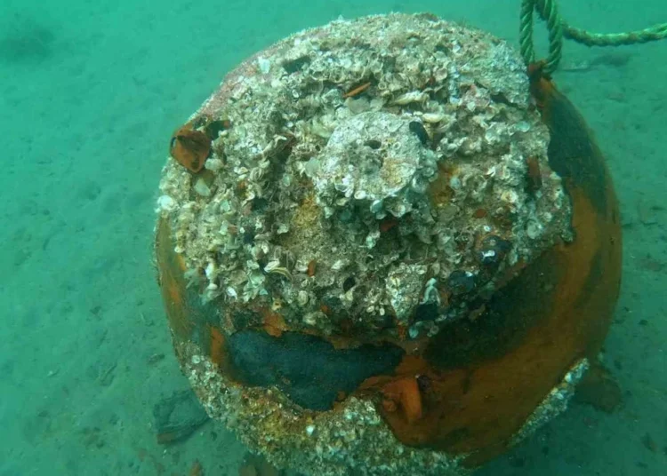 Çanakkale Denizi'nde savaştan kalma mayın bulundu 1 Çanakkale Denizi’nde savaştan kalma mayın bulundu