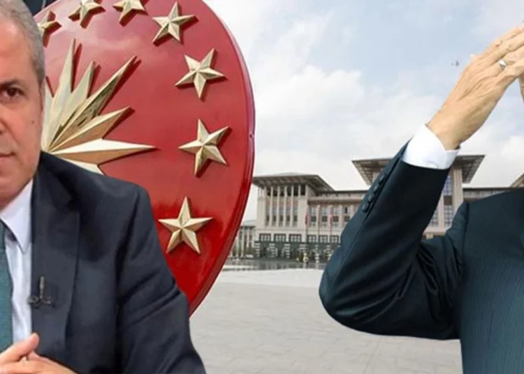 Erken seçim için tarih veren Şamil Tayyar: Erdoğan kesinlikle aday olur!