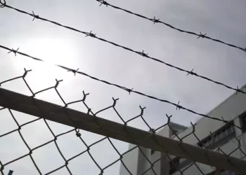 İddia: Kısmi af gündemde