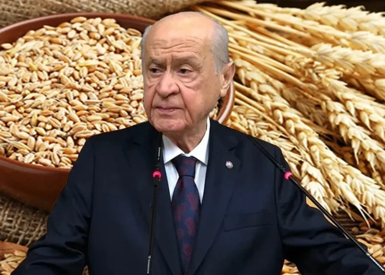 Nekahet sürecindeki Bahçeli kampanya başlattı: Askıda 9 gülek buğday 1 Nekahet sürecindeki Bahçeli kampanya başlattı: Askıda 9 gülek buğday