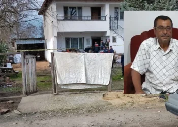 Çanakkale’de vahşet! 3 gündür haber alınamayan adamın kesik başı çöp kovasında bulundu