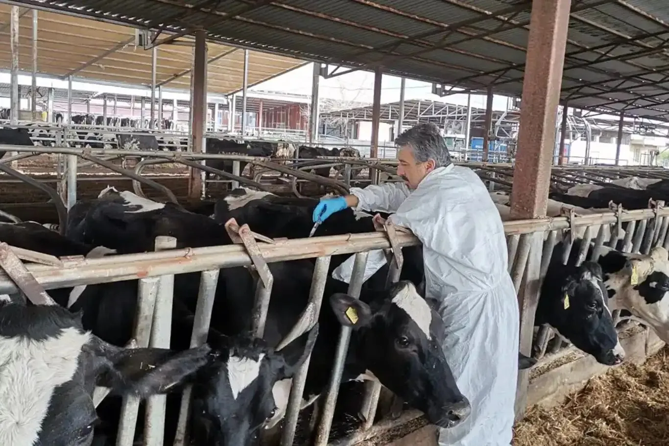 Elazığ’da bazı bölgelerde karantina kararı