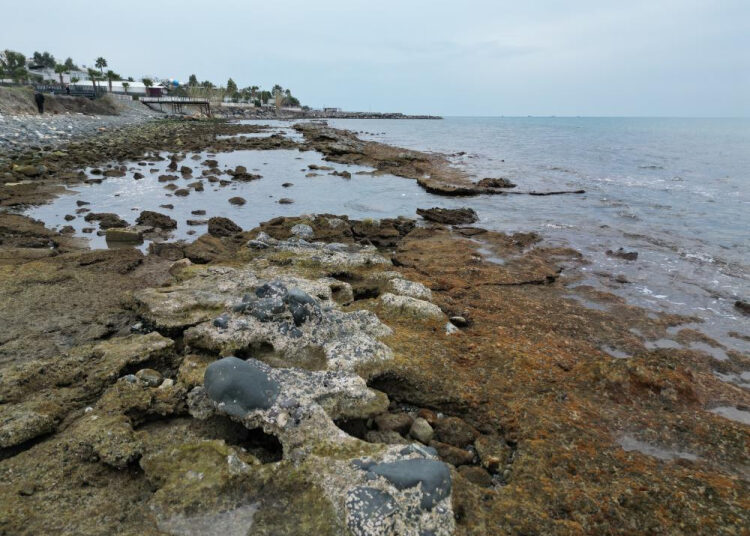 Hatay Arsuz'da deniz 20 metre çekildi 1 Hatay Arsuz’da deniz 20 metre çekildi