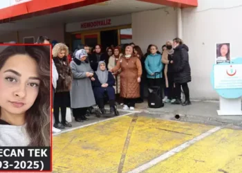 Soğuk algınlığından hastaneye kaldırılan hemşire, domuz gribinden hayatını kaybetti