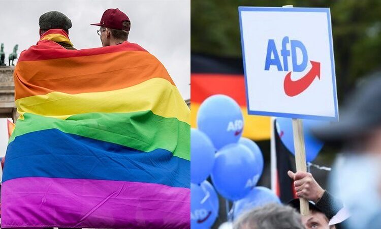 Almanya’da şaşırtan anket: AfD, eşcinsel Alman erkekleri arasında birinci tercih