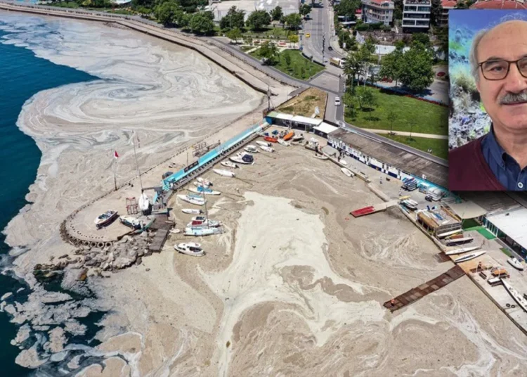 Müsilaj Marmara'yı sardı! Uzmanlar uyardı: Acil önlem alınmazsa felaket kaçınılmaz 1 Müsilaj Marmara’yı sardı! Uzmanlar uyardı: Acil önlem alınmazsa felaket kaçınılmaz