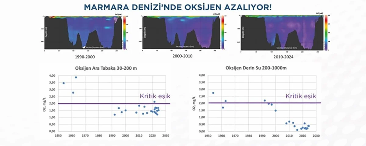 Müsilaj Marmara'yı sardı! Uzmanlar uyardı: Acil önlem alınmazsa felaket kaçınılmaz 2 Müsilaj Marmara'yı sardı! Uzmanlar uyardı: Acil önlem alınmazsa felaket kaçınılmaz