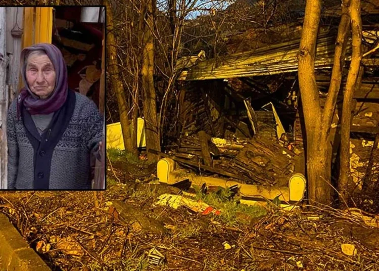 Sokak hayvanlarına sahip çıkmaya çalışan yaşlı kadın şüpheli bir yangında hayatını kaybetti 1 Sokak hayvanlarına sahip çıkmaya çalışan yaşlı kadın şüpheli bir yangında hayatını kaybetti