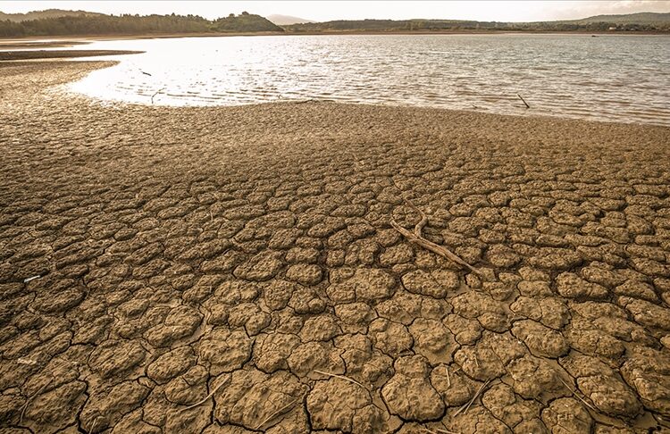Su krizi! Son 50 yılda 2 Marmara Denizi büyüklüğünde sulak alan yok oldu 1 Su krizi! Son 50 yılda 2 Marmara Denizi büyüklüğünde sulak alan yok oldu
