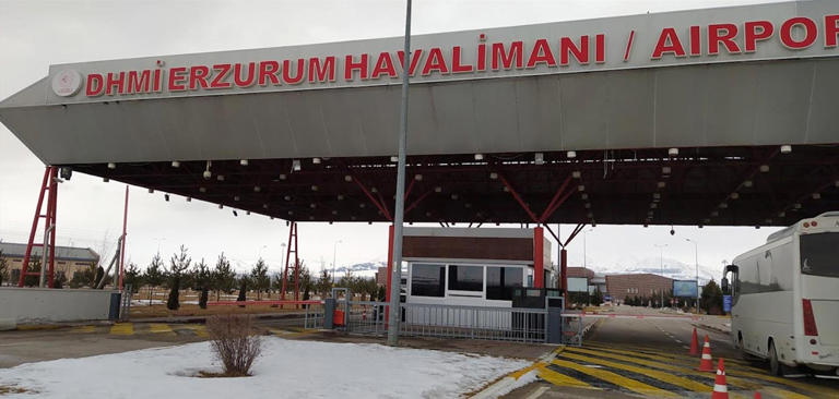 Üç kadın ve bir erkek havada kavga etti, uçak acil iniş yaptı
