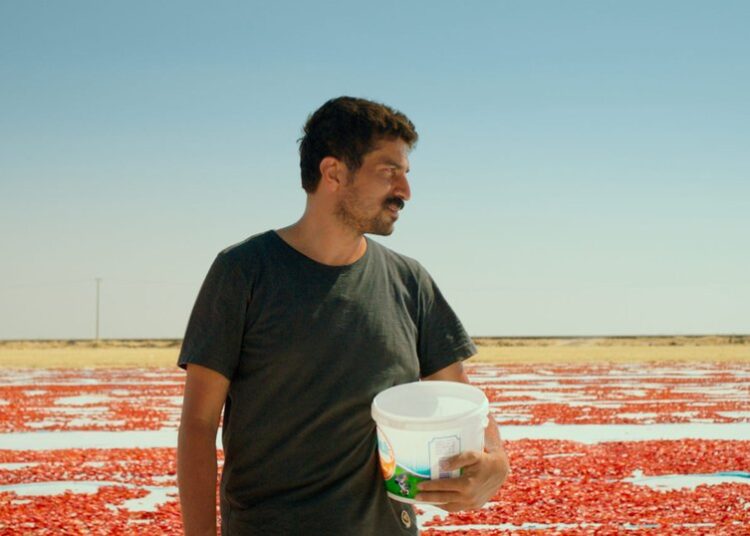 SİYAD Ödülleri sahiplerini buldu: 'Hemme’nin Öldüğü Günlerden Biri' damga vurdu 1 SİYAD Ödülleri sahiplerini buldu: ‘Hemme’nin Öldüğü Günlerden Biri’ damga vurdu