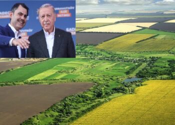 Ne var ne yok satılıyor! Kamu arazilerinin satışından elde edilen gelir rekor seviyeye ulaştı