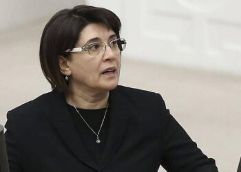 Leyla Zana: “Temennimiz, Cumhurbaşkanı ve Bahçeli’nin üzerine düşen sorumluluğu yerine getirmesidir”