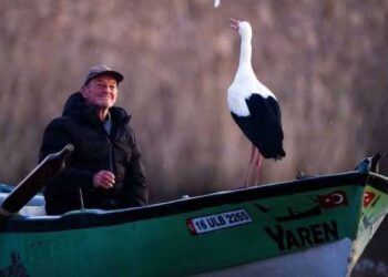 Dostluk kaldığı yerden devam ediyor… Yaren leylek 14. kez geldi