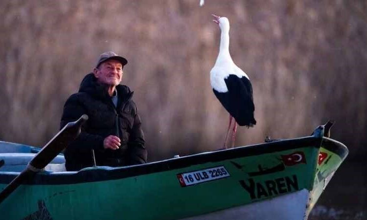 Dostluk kaldığı yerden devam ediyor... Yaren leylek 14. kez geldi 1 Dostluk kaldığı yerden devam ediyor… Yaren leylek 14. kez geldi