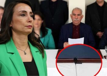DEM Partili Tülay Hatimoğulları açıkladı: Öcalan’ın çağrısı kayıt altına alındı mı?
