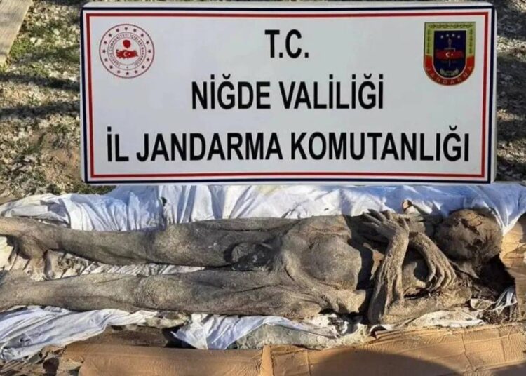 Niğde’de mumya yakalandı: 6 gözaltı