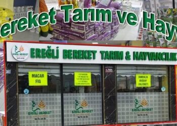 Konkordato talebi reddedilen Ereğli Bereket Tarım ve Hayvancılık iflas etti