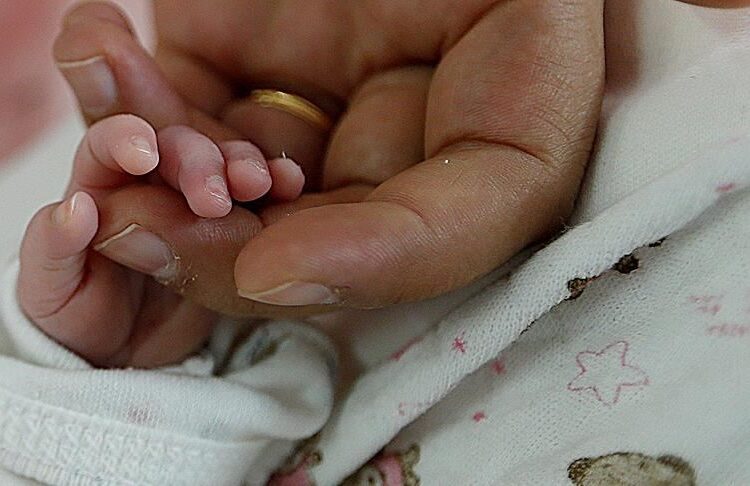 Şebeke, para vaadi ile aldıkları kadın yumurtalarını ABD'ye satmış 1 Şebeke, para vaadi ile aldıkları kadın yumurtalarını ABD’ye satmış