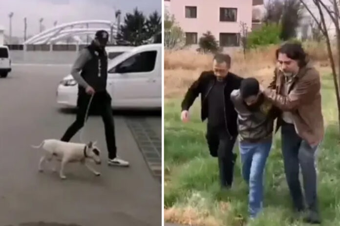 10 bin euro değerindeki KIF sertifikalı köpeği çalan hırsız tutuklandı 1 10 bin euro değerindeki KIF sertifikalı köpeği çalan hırsız tutuklandı