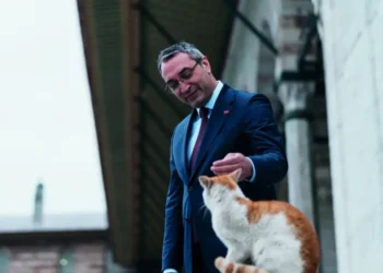Tolga Yavaş yazdı I Kedi taktiği…