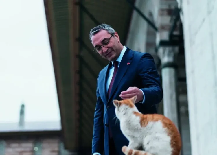 Tolga Yavaş yazdı I Kedi taktiği…