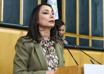 Tülay Hatimoğulları’ndan Yılmaz Tunç-DEM Parti görüşmesi açıklaması: ‘Umut hakkı, infaz kanunu gündeme gelecek’