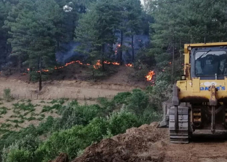 Şakalaşırken torpille 92 hektar ormanı yaktı, 10 yıl hapsi isteniyor 1 Şakalaşırken torpille 92 hektar ormanı yaktı, 10 yıl hapsi isteniyor