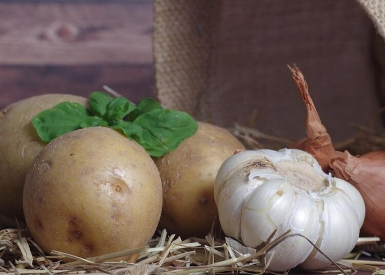 Yeşeren patates, soğan ve sarımsak yenir mi? 1 Yeşeren patates, soğan ve sarımsak yenir mi?