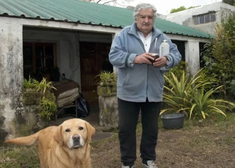 Uruguay eski Devlet Başkanı José Mujica yaşamını yitirdi