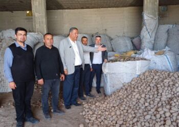 CHP’li Gürer: Çiftçi patatesi 1 liraya satamıyor, vatandaş 40 liraya alıyor
