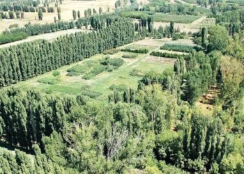 Atatürk Orman Çiftliği’nde talan: Metresi 1 TL’ye arazi kiralandı
