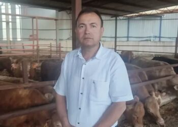 Kurbanlık dana ile selfie çekmek isterken öldü