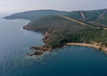 Deniz çevresindeki ormanlık alanlar turizme açıldı