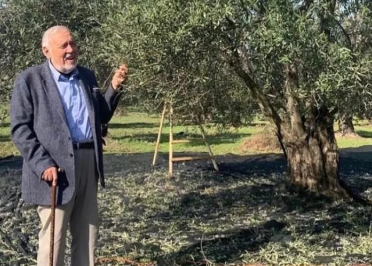 İlber Ortaylı'dan zeytinliklerin madencilik faaliyetlerine açılmasına tepki 1 İlber Ortaylı’dan zeytinliklerin madencilik faaliyetlerine açılmasına tepki