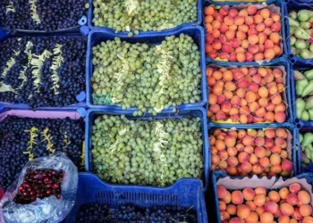 İstanbul’da meyve fiyatları tavan yaptı: 200 liranın altında meyve yok