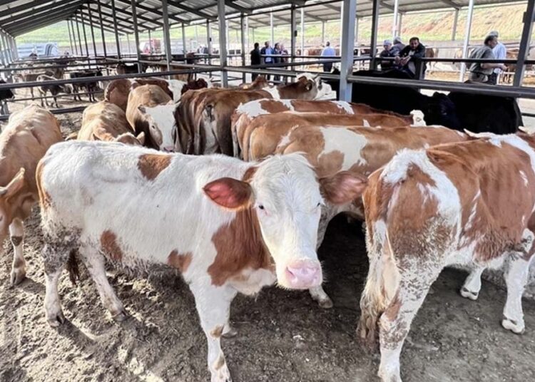 Bayrama 1 gün kala kriz: Üç ilçe karantina altına alındı 1 Bayrama 1 gün kala kriz: Üç ilçe karantina altına alındı