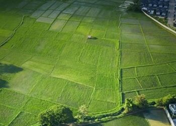 TOKİ 41 ilde 310 arsayı satışa çıkarıyor
