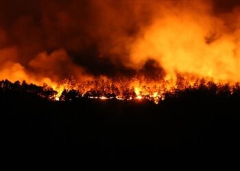 İzmir’de yangın büyüyor, binlerce kişi tahliye edildi
